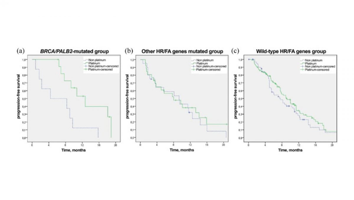 Platinum-based chemotherapy for pancreatic cancer: impact of mutations in the homologous recombination repair and Fanconi anemia genes